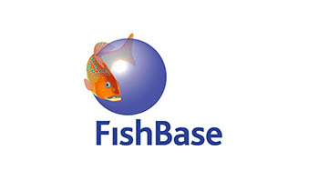 logo fishbase