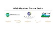 logo du tableau de bord Charente Seudre