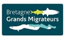Logo de Bretagne Grands Migrateurs